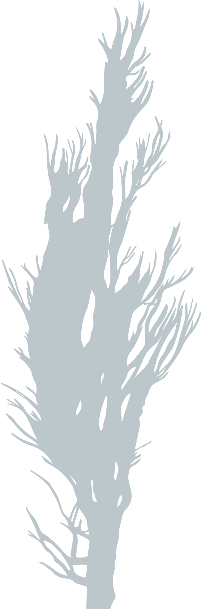 logo ruta azul patagonia