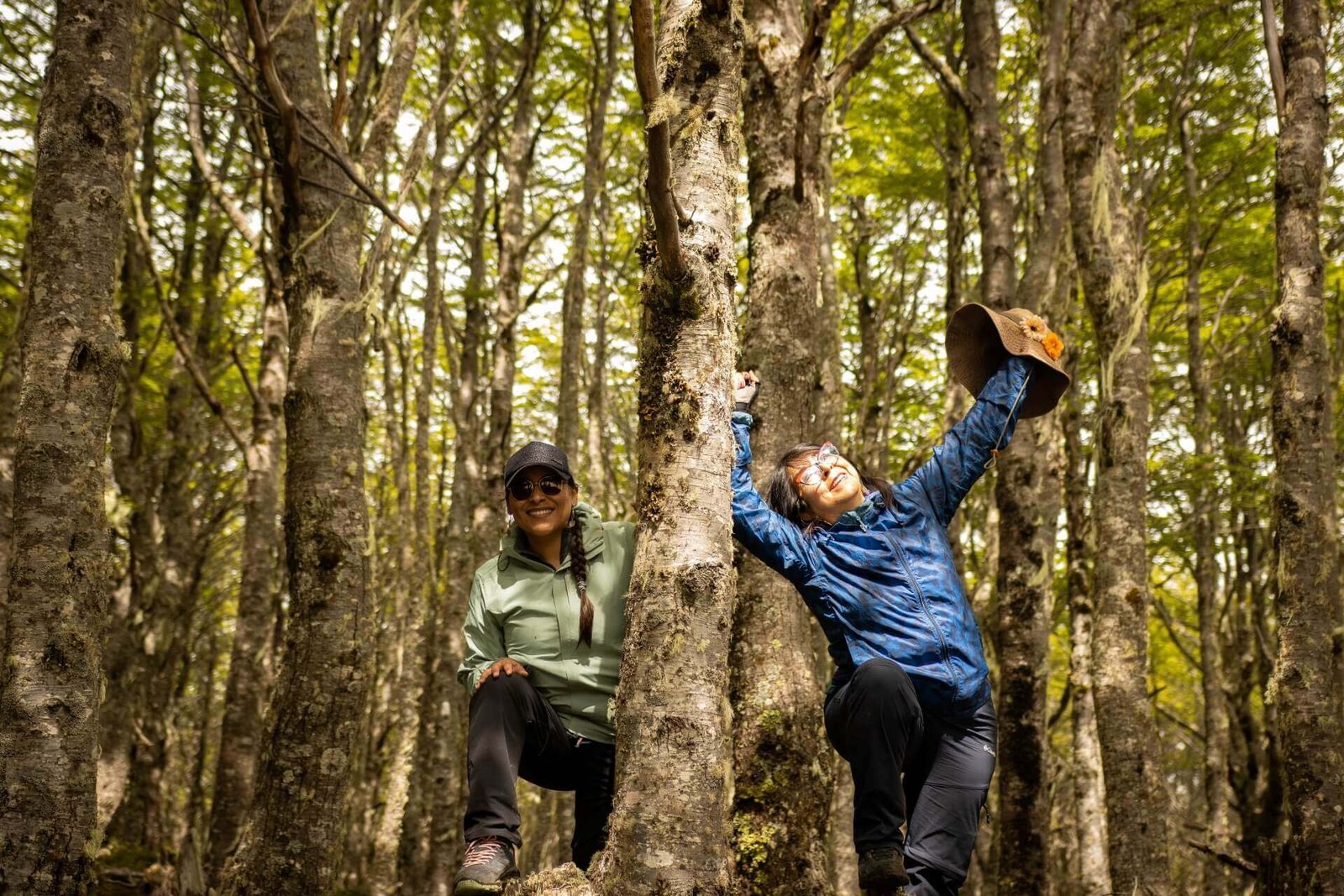 Excursión Reserva Magallanes