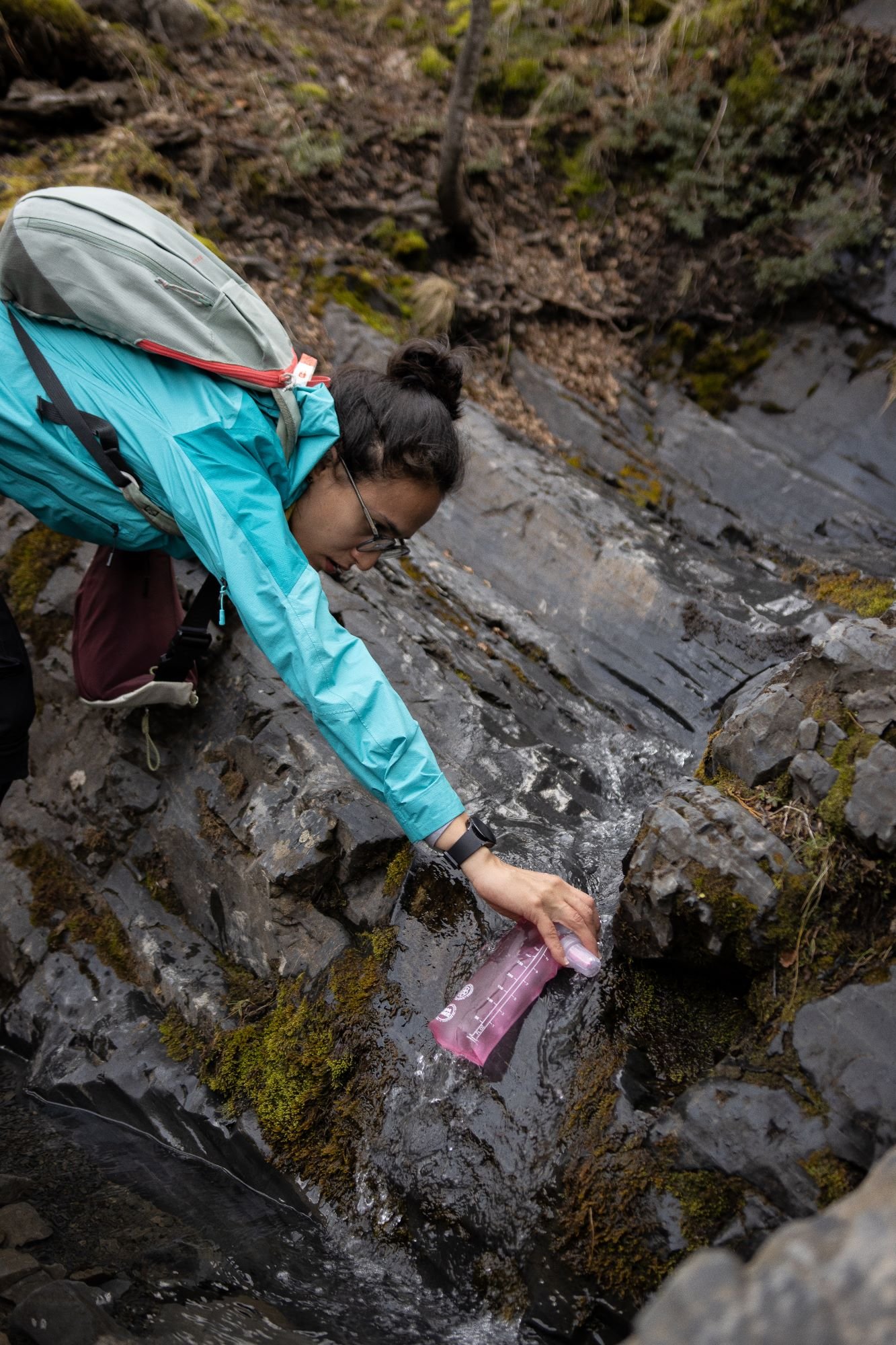 Zorro Faro San Isidro