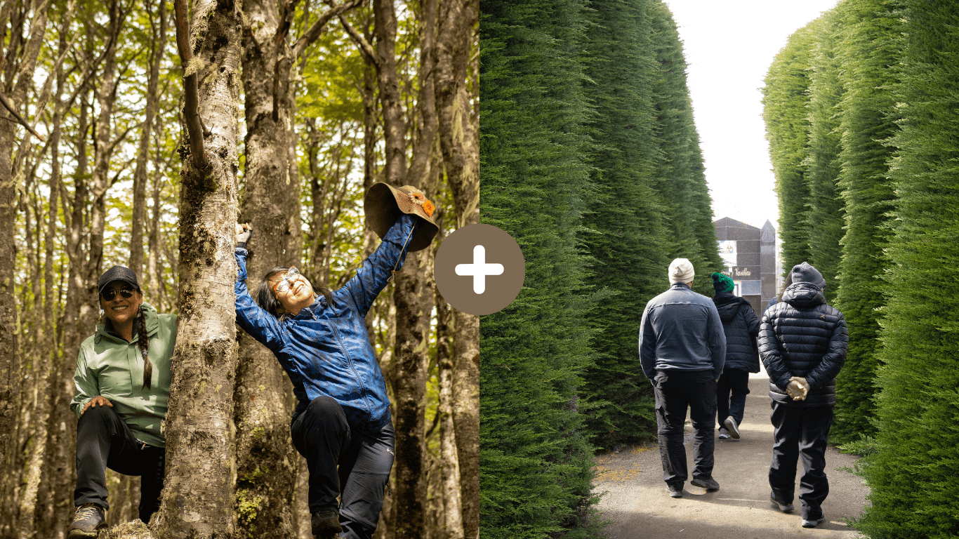 City tour por Punta Arenas y trekking en la Reserva Magallanes