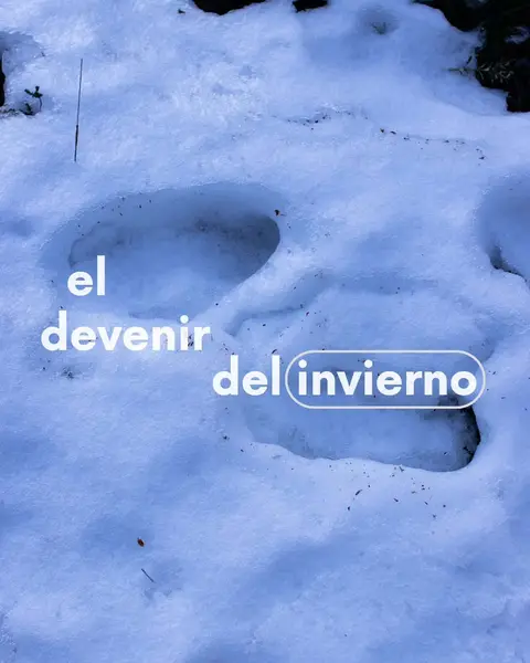 Publicación reciente de Ruta Azul Patagonia en Instagram (1 de 4)